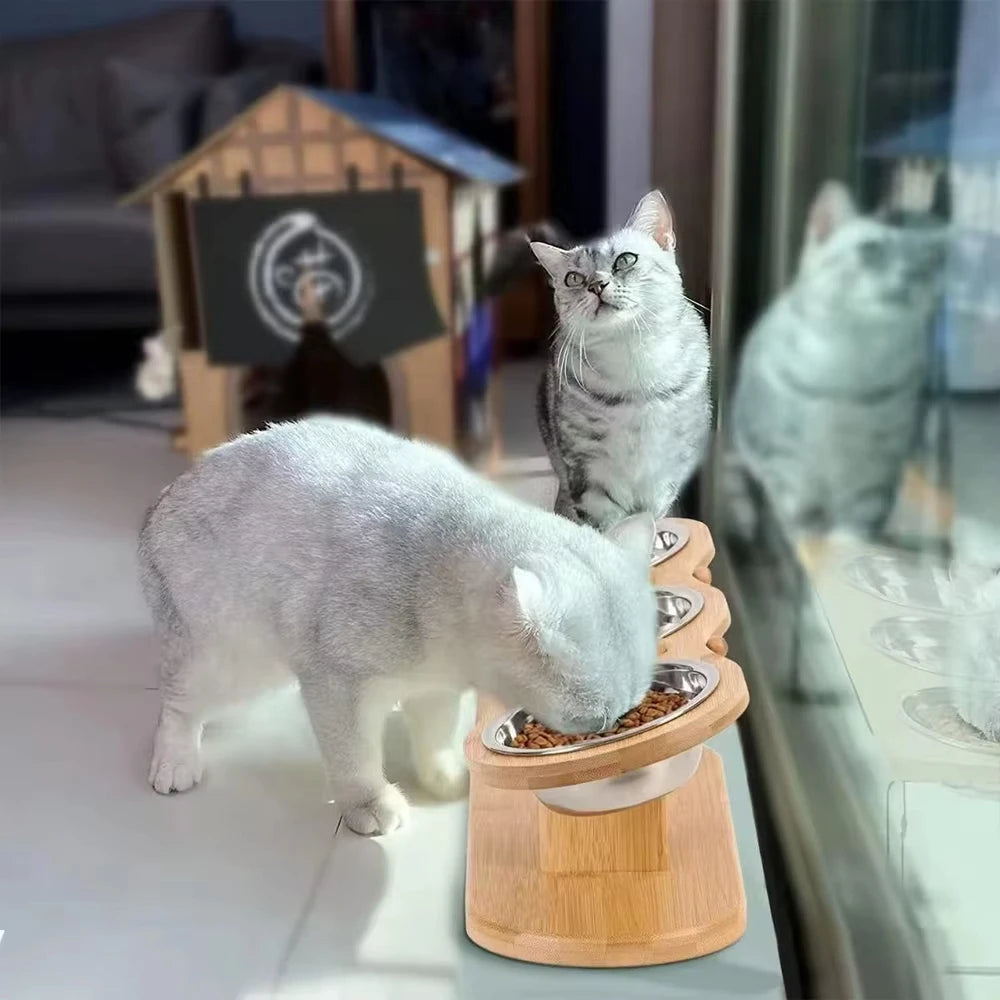 3 elevated cat bowls tilted anti-vomiting iron bowl elevated cat food bowl for food and water