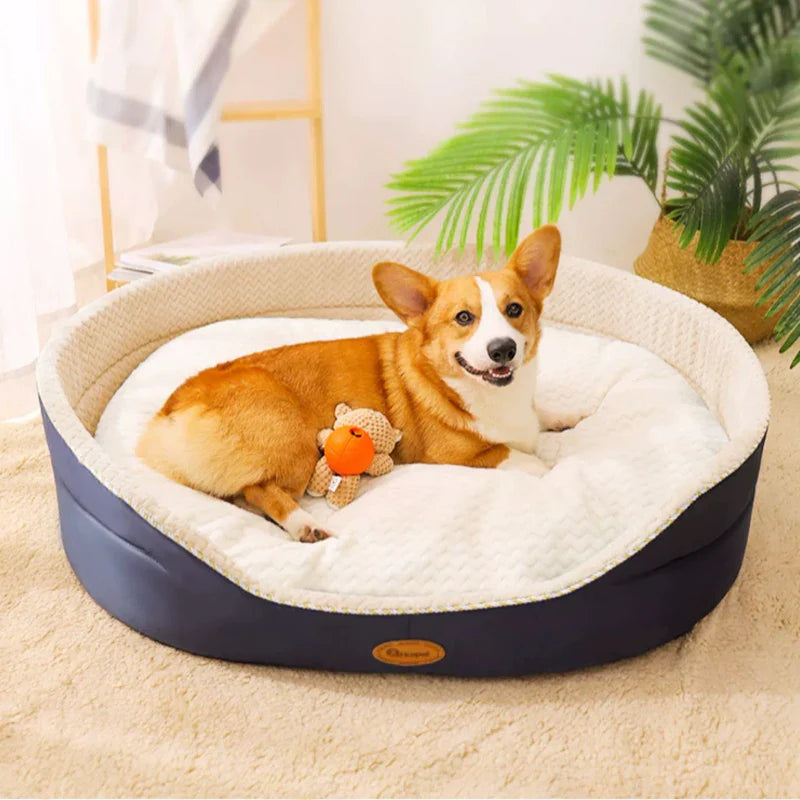 beautiful pets beds