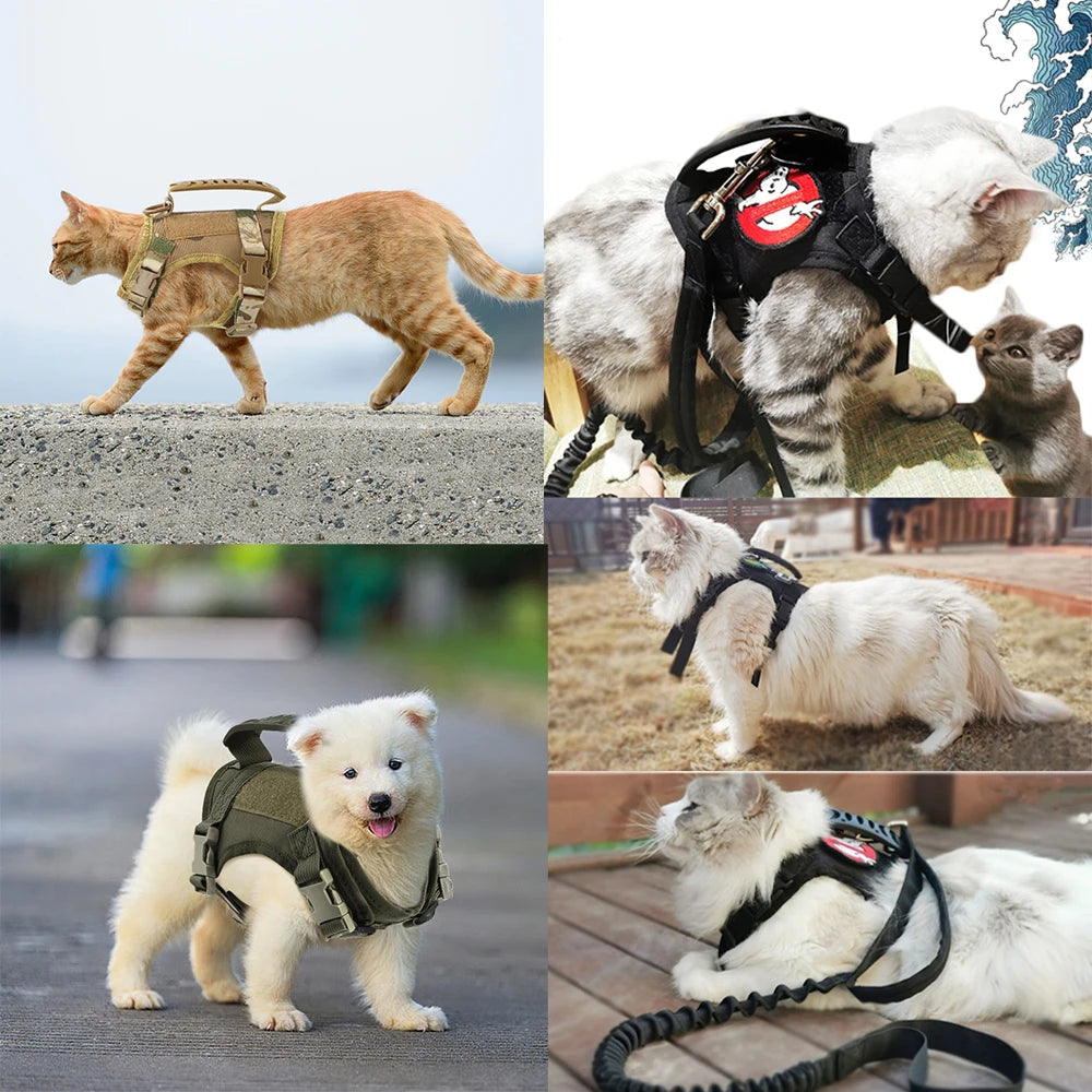 Tactical cat harness for outdoor walking of kittens and puppies, used for walking to prevent escape, soft , easy to wear